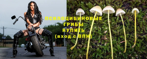 мет Алзамай